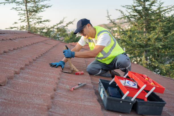Best Roof Gutter Cleaning  in Berryville, VA