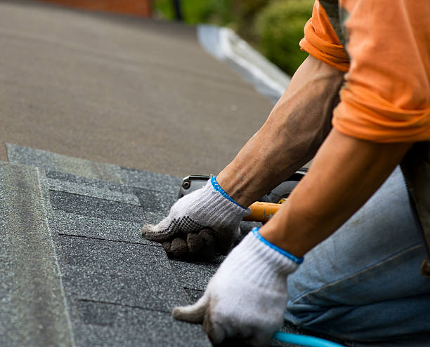 Best Local Roofing Companies  in Berryville, VA